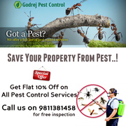 Avail Flat 10% off on all Pest Control Services in Noida,  Delhi NCR