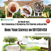 20% OFF on all Pest Control Treatments-9811381458