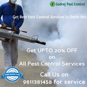 Spcl. Offer-UPTO 20% OFF on all Pest Control Treatments in Delhi/Ncr