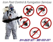 Icon Pest Control & Fumigation Services