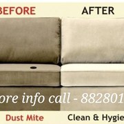 Sofa cleaning professional service