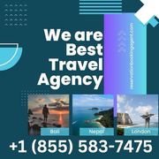 Experts in cruises and travel in Alaska | Alaska Travel Agency