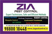 General Pest control service | Bangalore Pest control service provided
